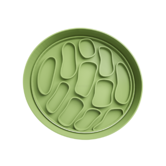 Caparazon Tortugas Cortador de Galletas