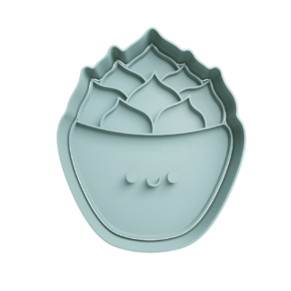 Cactus Echeveria Cortador de Galletas