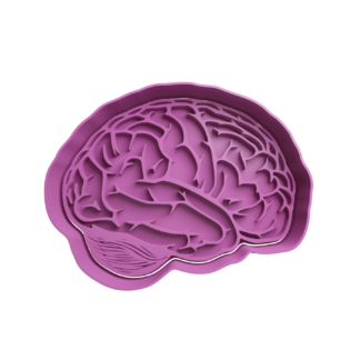 Cerebro Cortador de Galletas