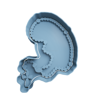 Rosario Cortador de Galletas