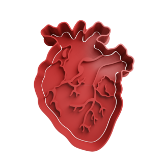 Corazon Cortador de Galletas