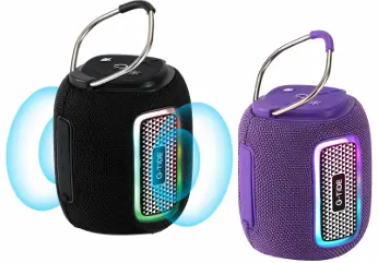 Speaker SV31